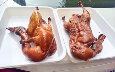 成都冒烤鸭技术麻豆精品传媒国产观看哪家好?  专业冒烤鸭技术麻豆精品传媒国产观看