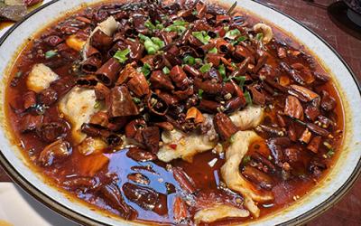 成都凉拌菜麻豆精品传媒国产观看如何选择？学习凉菜技术哪里好