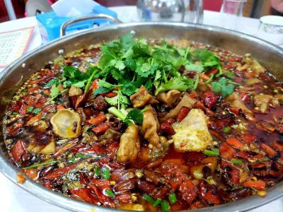 肥肠鱼火锅技术麻豆精品传媒国产观看哪里比较好？